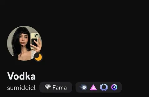 Perfil estético com selfie no espelho