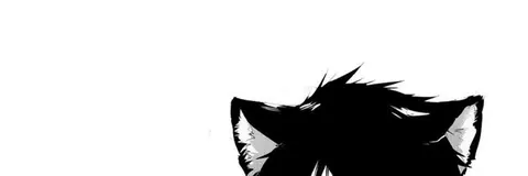 Gato preto e branco minimalista