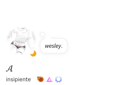 Perfil aesthetic com texto wesley
