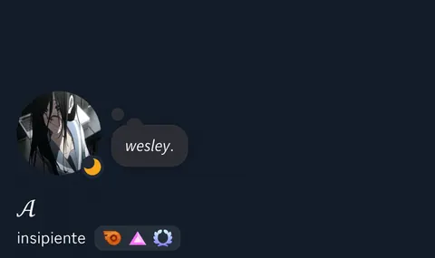 Perfil de anime com chat escuro