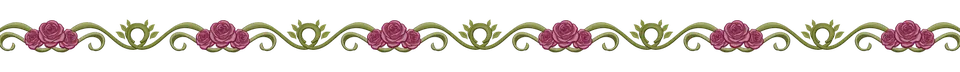 Barrinha ornamental rosa e verde