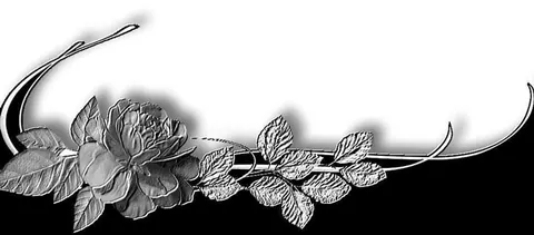 Banner com rosa e folhas cinza