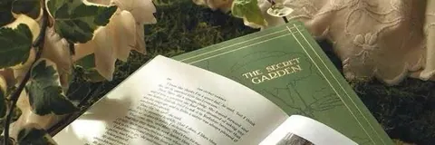 Livros antigos e plantas verde