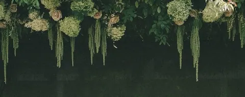 Flores suspensas em fundo escuro