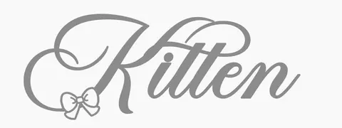 Banner com palavra kitten cinza
