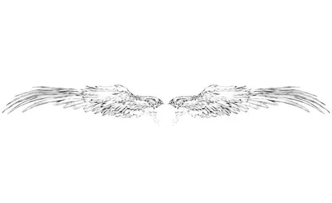 Asas de anjo estilo esboço