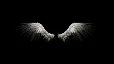asas de anjo em fundo preto
