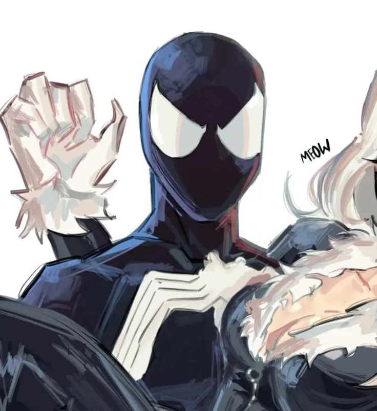 Homem-Aranha e Gata Negra matching
