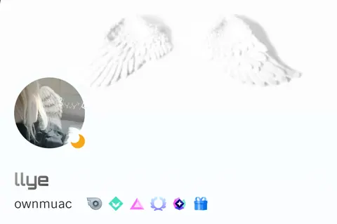 Perfil estetico asas brancas e loiro