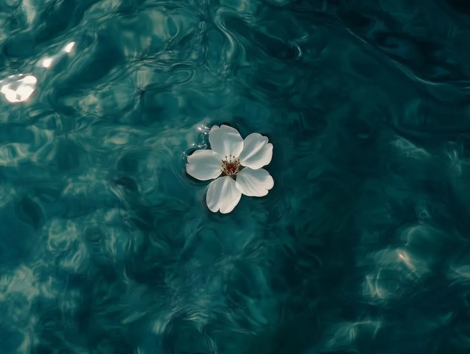 Perfil estetico aquario e flor branca