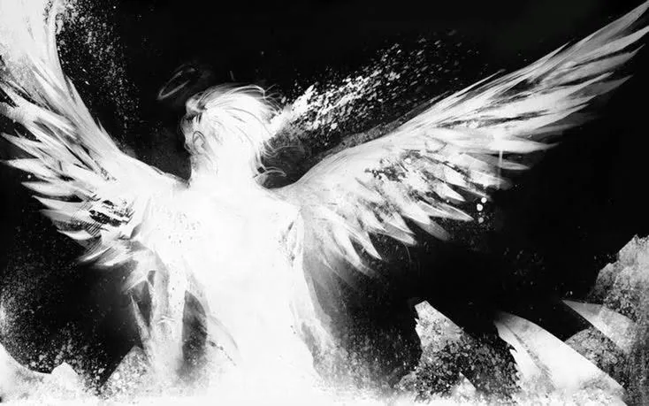 Anjo com asas grandes preto e branco