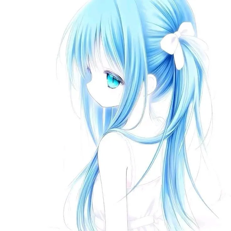 imagem 5