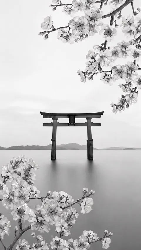 Torii e flores de cerejeira