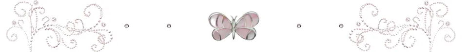 Barrinha com borboleta e flores