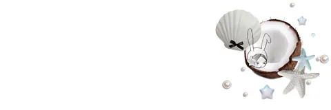 Banner com conchas e coco minimalista