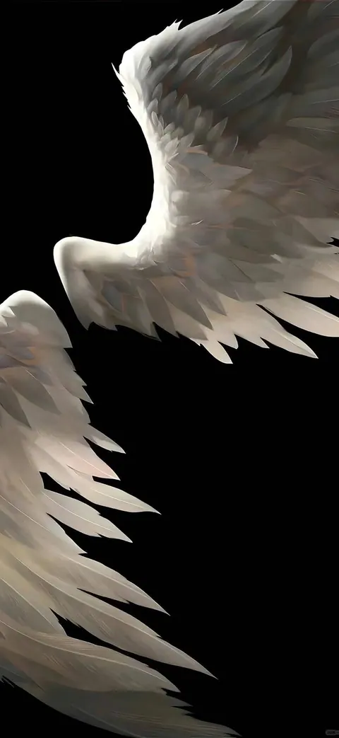 Asas de anjo em fundo preto
