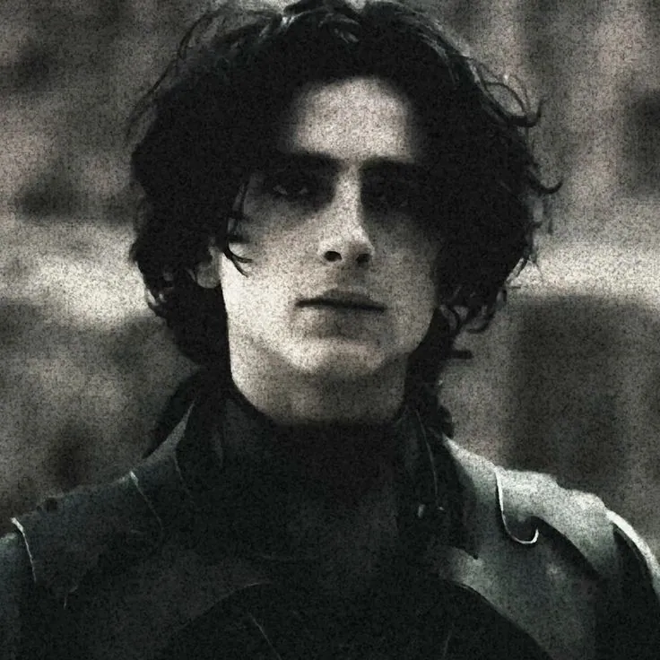 jovem masculino com cabelo cacheado preto e branco