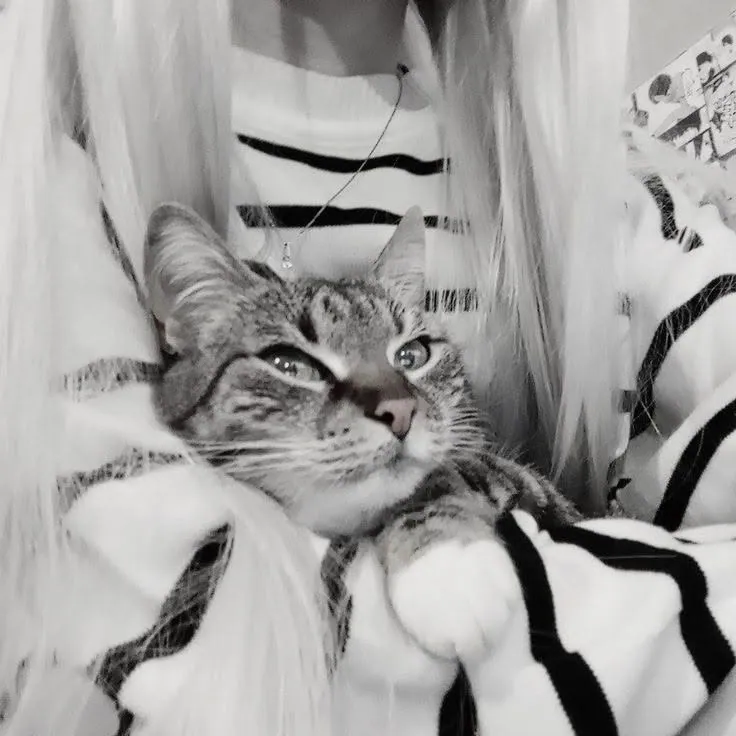 icon grunge P&B com meias listradas