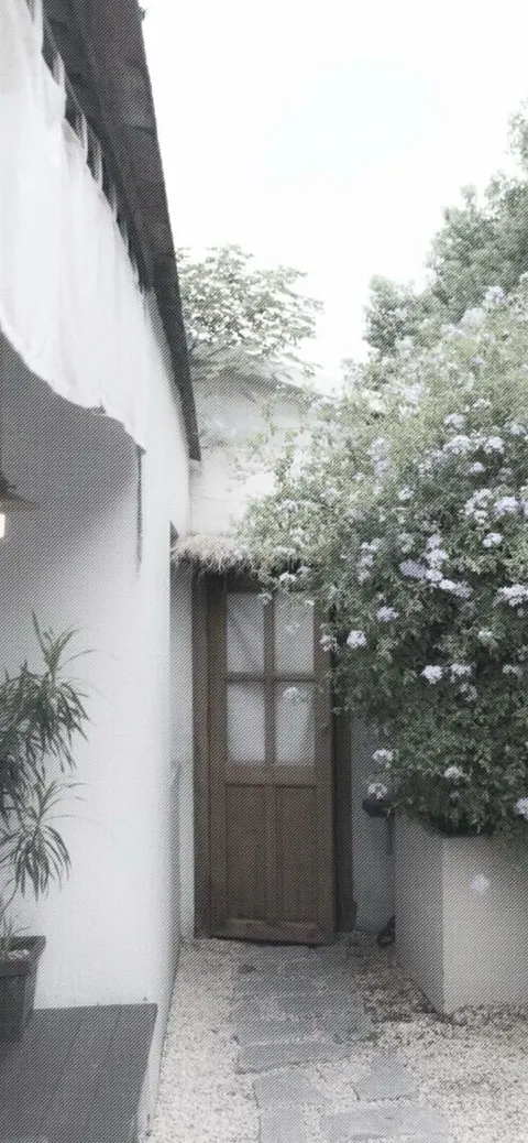 Beco rústico com plantas e porta