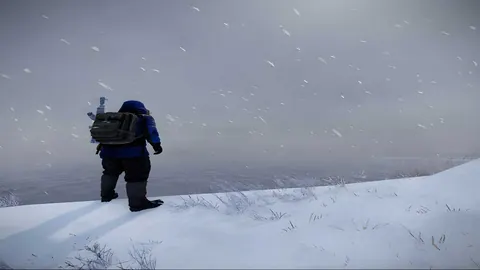 Viajante solitario na neve