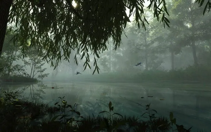 Lago misterioso na floresta com nevoeiro