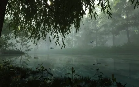 Lago misterioso na floresta com nevoeiro