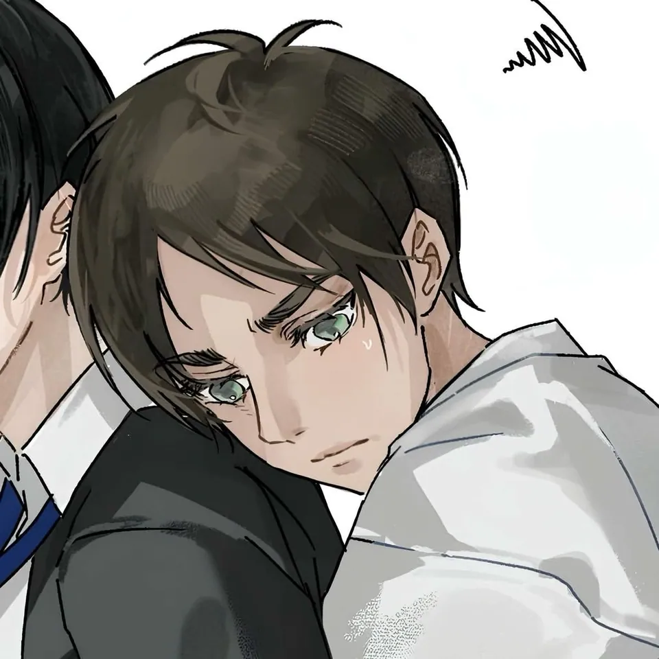 Eren e Mikasa matching