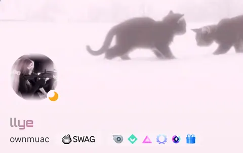 Perfil rosa com gatos e arma