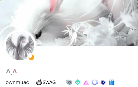 Perfil estético coelho e anjo branco