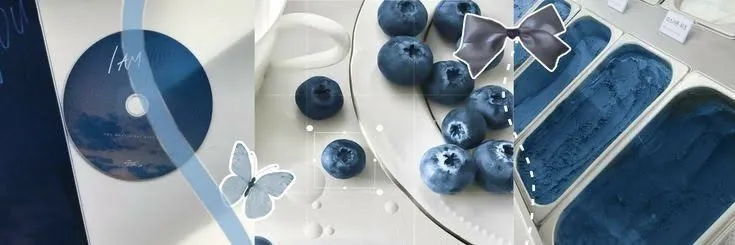 Banner estetico azul com mirtilos