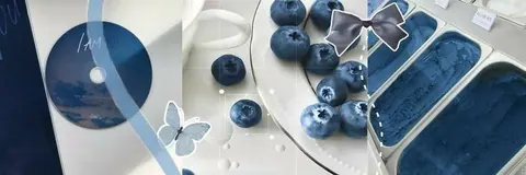 Banner estetico azul com mirtilos