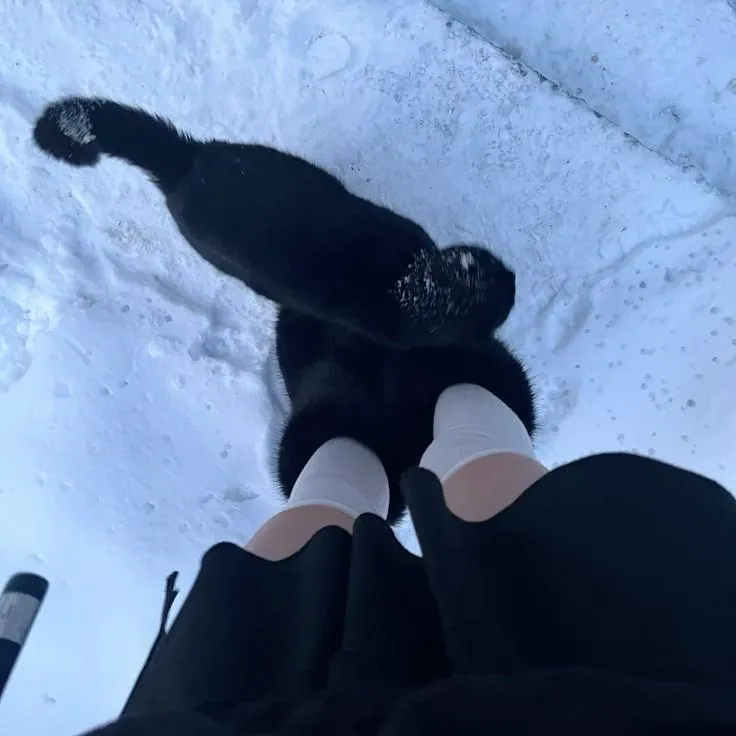 Perfil estetico na neve com gato