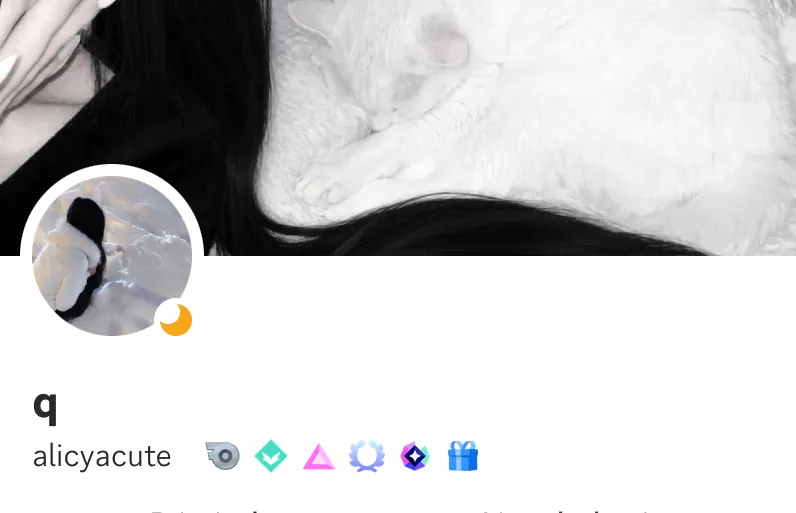 perfil aesthetic preto e branco
