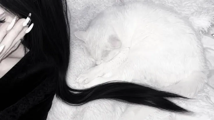 perfil aesthetic preto e branco