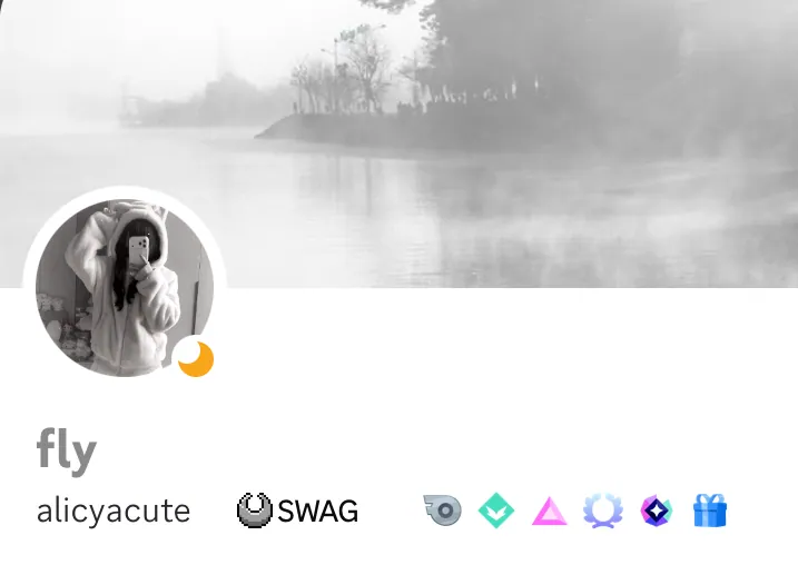 perfil aesthetic cinza com touca