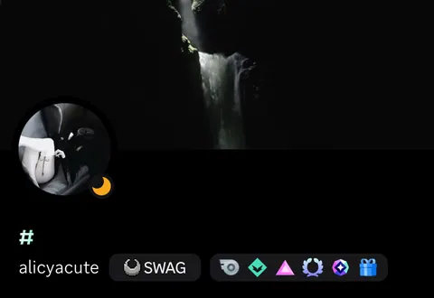 Perfil dark minimalista com cachoeira